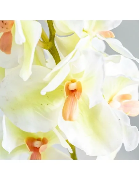 Flor Azahar