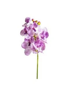 Flor