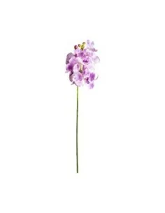 Flor 2