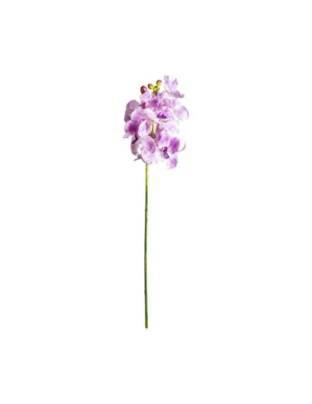 Flor