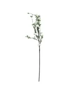 Flor Almendro