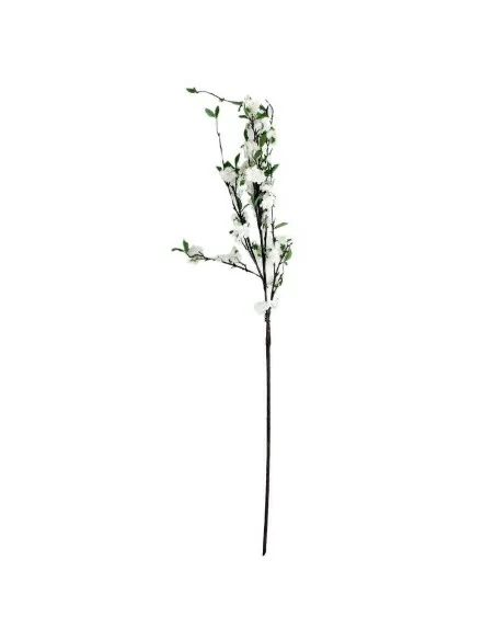 Flor Almendro Flor Almendro