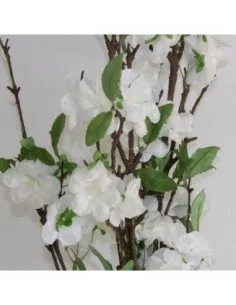 Flor Almendro 2