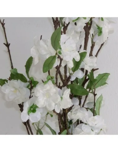 Flor Almendro Flor Almendro