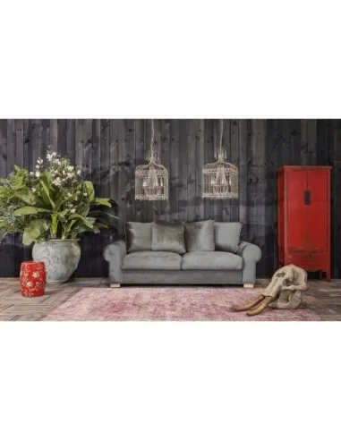 Planta Phoenix Bamboo