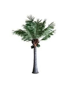Planta Palmera