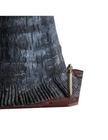 Planta Palmera Planta Palmera