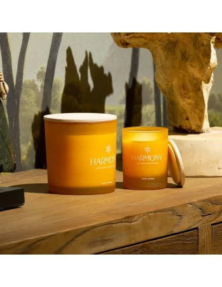 Vela Harmony