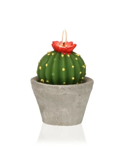 VELA CACTUS CON MACETA