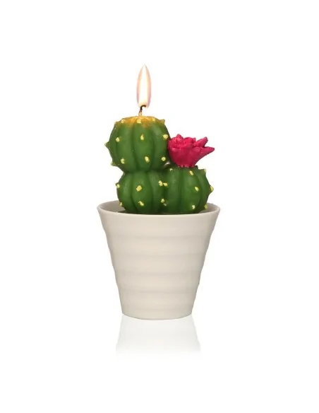 VELA CACTUS CON MACETA 2