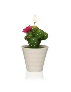 VELA CACTUS CON MACETA 1
