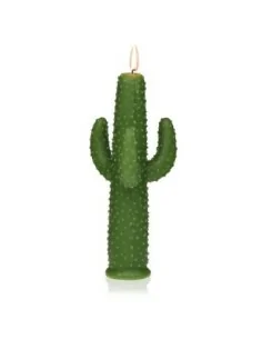 VELA CACTUS