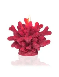 VELA CORAL
