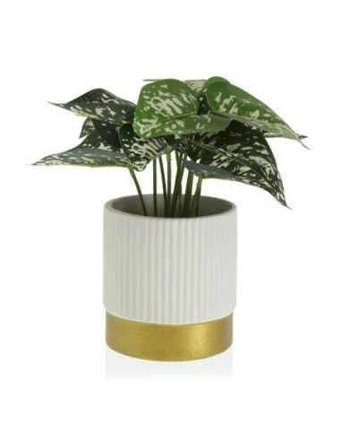 MACETA CERAMICA BLANCA 13,5x14 MACETA CERAMICA BLANCA 13,5x14