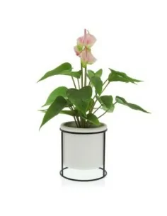 MACETA BLANCA C/ BASE METAL 2
