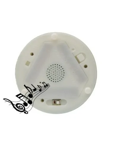 BOTELLA LED SURTIDA CON MUSICA