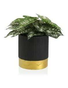 MACETA CERAMICA NEGRA 16x17 2