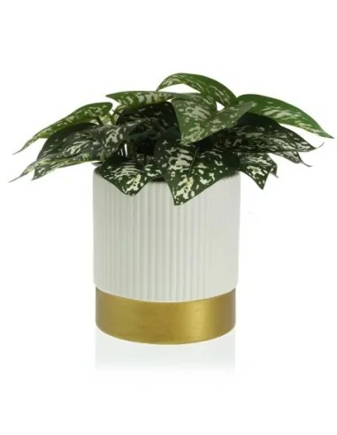 MACETA CERAMICA BLANCA 16x17