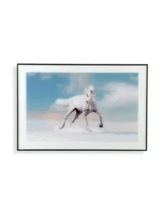 CUADRO CRISTAL CABALLO CIELO