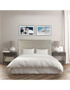 CUADRO CRISTAL CABALLO CIELO 2