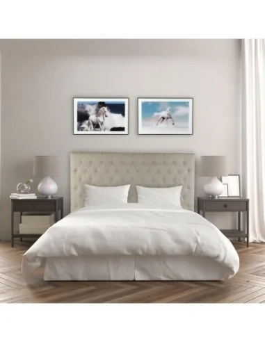 CUADRO CRISTAL CABALLO CIELO