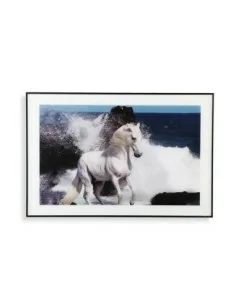 CUADRO CRISTAL CABALLO MAR