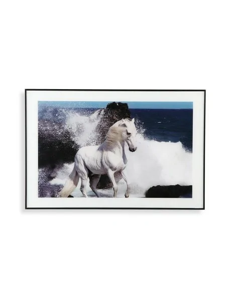 CUADRO CRISTAL CABALLO MAR