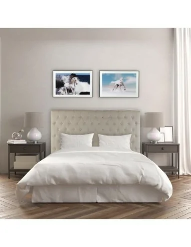 CUADRO CRISTAL CABALLO MAR