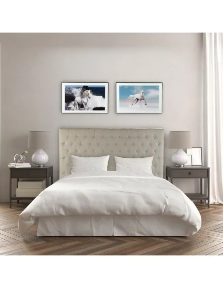 CUADRO CRISTAL CABALLO MAR