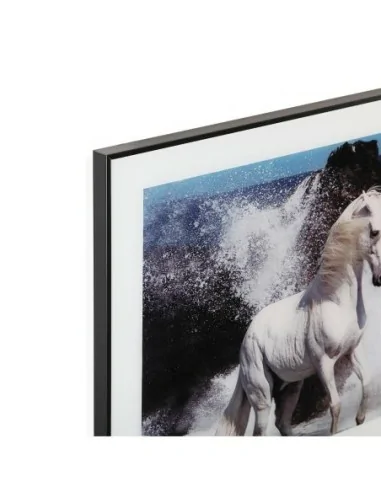 CUADRO CRISTAL CABALLO MAR