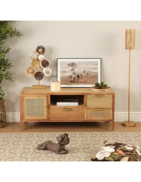 CUADRO CRISTAL CABALLO TIERRA