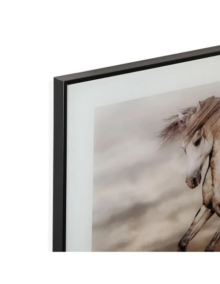 CUADRO CRISTAL CABALLO TIERRA