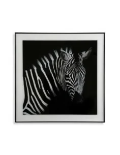 CUADRO CRISTAL CEBRA