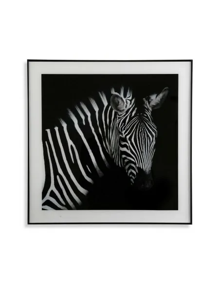 CUADRO CRISTAL CEBRA