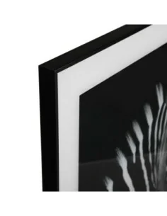 CUADRO CRISTAL CEBRA 2