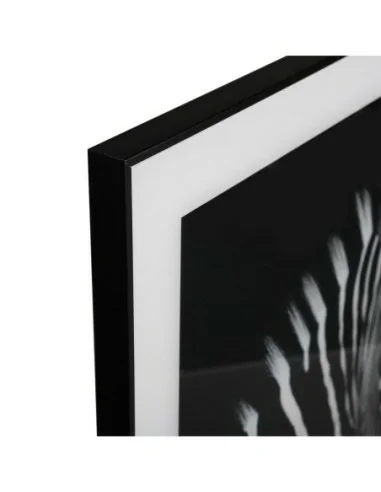 CUADRO CRISTAL CEBRA