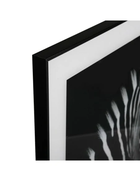 CUADRO CRISTAL CEBRA