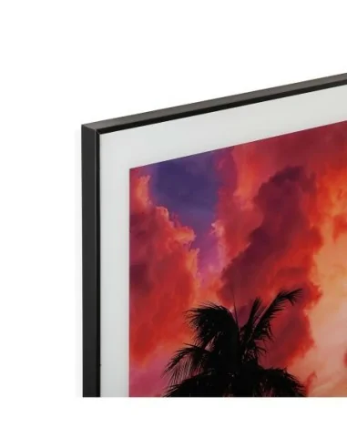 CUADRO CRISTAL PALMERA