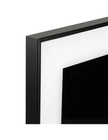 CUADRO CRISTAL ZEBRA 1