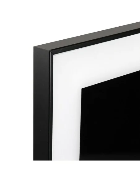 CUADRO CRISTAL ZEBRA 3