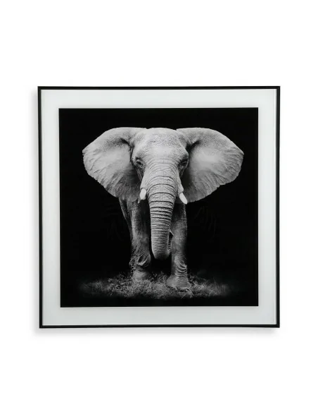 CUADRO CRISTAL ELEFANTE 1