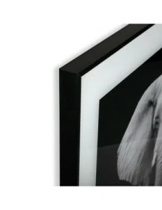CUADRO CRISTAL ELEFANTE 1 2