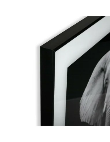 CUADRO CRISTAL ELEFANTE 1