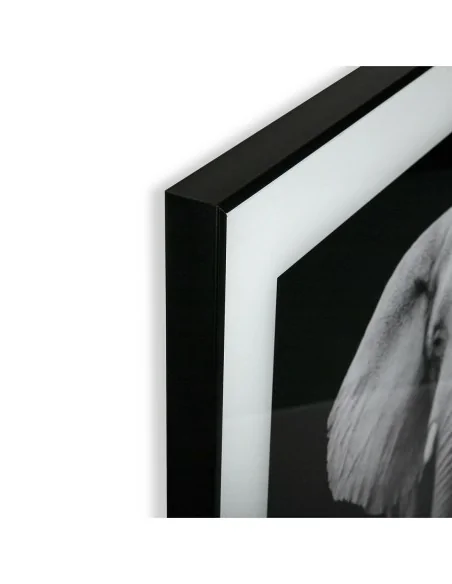 CUADRO CRISTAL ELEFANTE 1