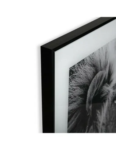 CUADRO CRISTAL LEON 2