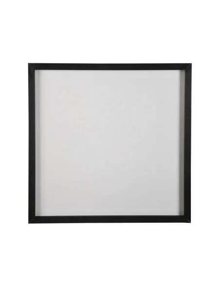 CUADRO CRISTAL LEON 2