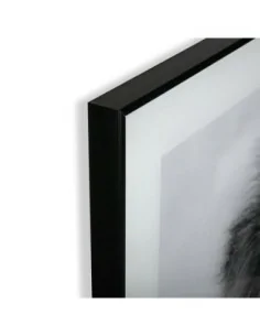 CUADRO CRISTAL LEON 1 2