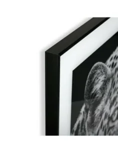 CUADRO CRISTAL TIGRE 2 2