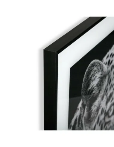 CUADRO CRISTAL TIGRE 2