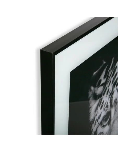 CUADRO CRISTAL TIGRE 1